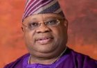 Senator Ademola Adeleke pleads for an end to billboards destruction.