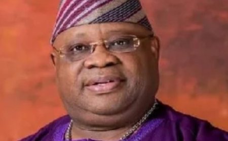 Senator Ademola Adeleke pleads for an end to billboards destruction.
